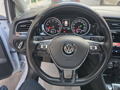 Volkswagen Golf 1.4 TGI DSG 5p. Highline BlueMotion (18)