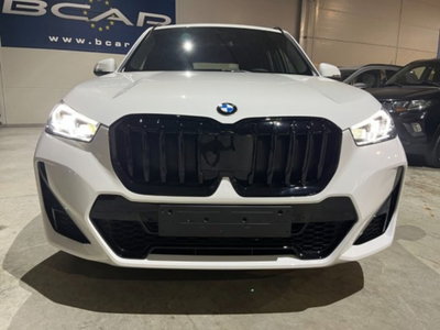 BMW X1 xDrive 20d Msport (6)