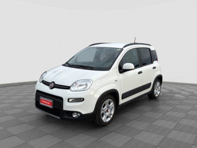 Fiat Panda 1.0 FireFly S&S Hybrid City Cross usata