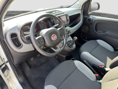 Fiat Panda 0.9 TwinAir Turbo S&S 4x4 Wild (9)