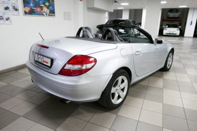 Mercedes-Benz SLK 200 Kompressor cat (4)