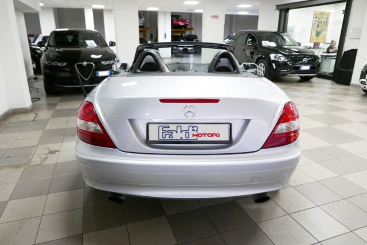Mercedes-Benz SLK 200 Kompressor cat (5)