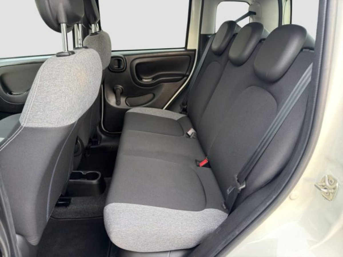 Fiat Panda 1.0 FireFly S&S Hybrid City Cross (11)