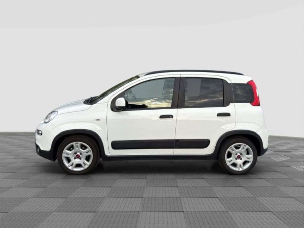 Fiat Panda 1.0 FireFly S&S Hybrid City Cross (2)