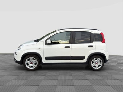 Fiat Panda 1.0 FireFly S&S Hybrid City Cross (2)