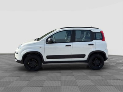 Fiat Panda 0.9 TwinAir Turbo S&S 4x4 Wild (2)