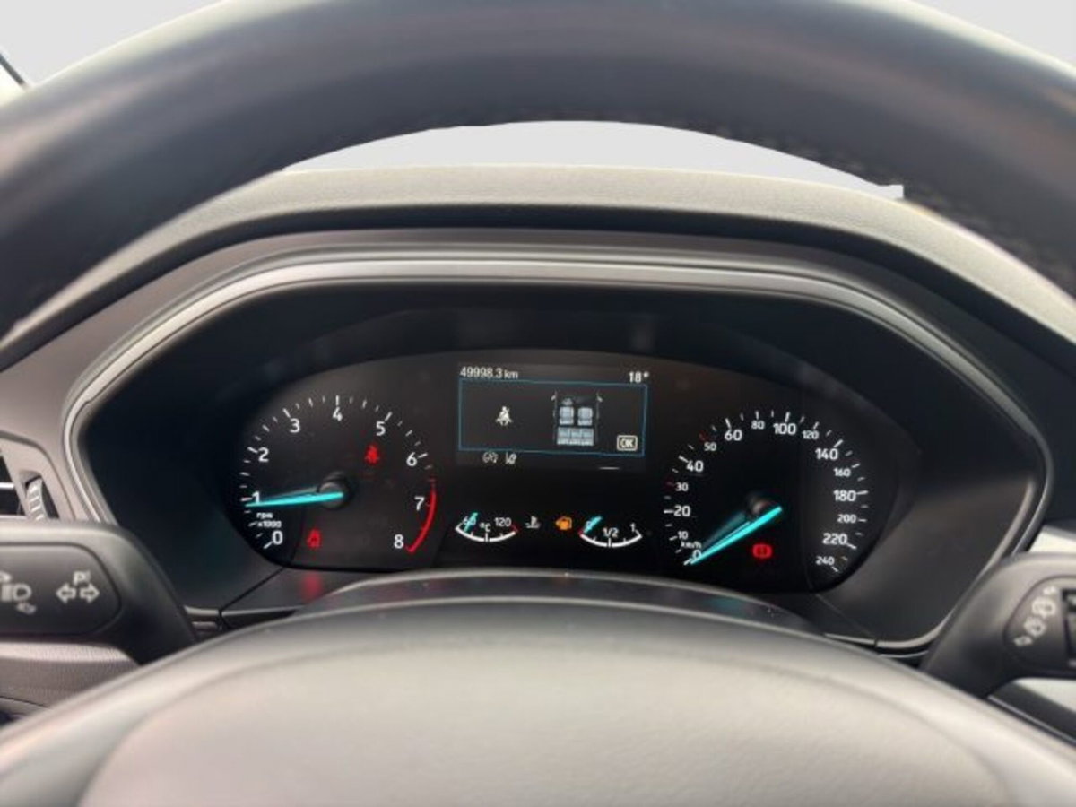 Ford Focus 1.0 EcoBoost Hybrid 125 CV Powershift 5p. Active Style (15)