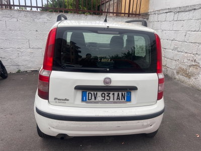 Fiat Panda 1.1 Actual Eco (4)