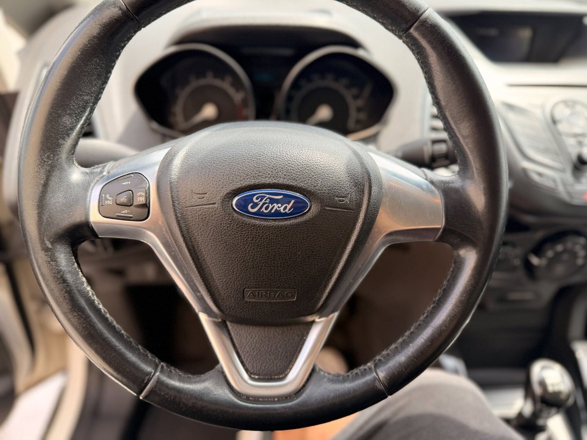 Ford EcoSport 1.0 EcoBoost 125 CV Titanium S (10)