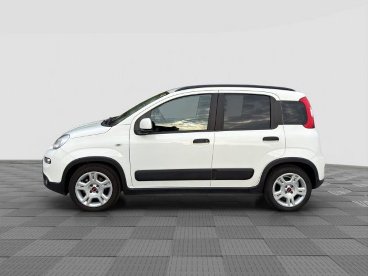 Fiat Panda 1.0 FireFly S&S Hybrid City Cross (2)