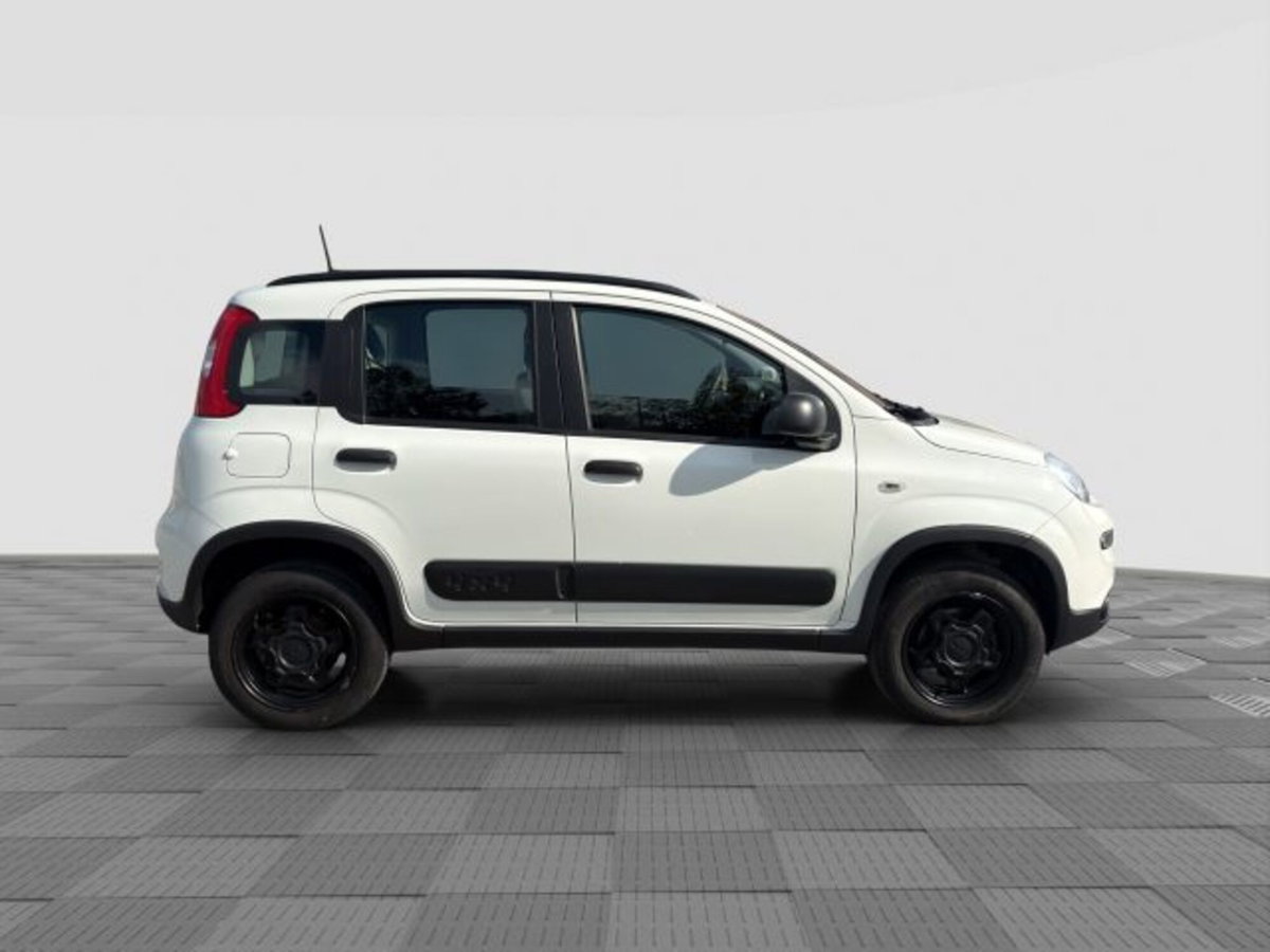 Fiat Panda 0.9 TwinAir Turbo S&S 4x4 Wild (6)