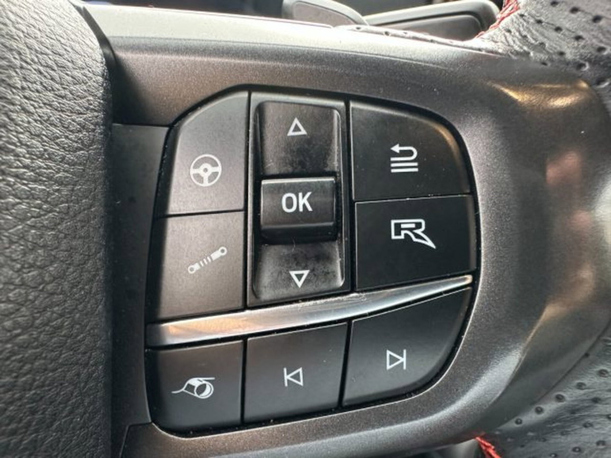 Ford Ranger Pick-up Raptor 3.0 ecoboost V6 292cv auto (18)
