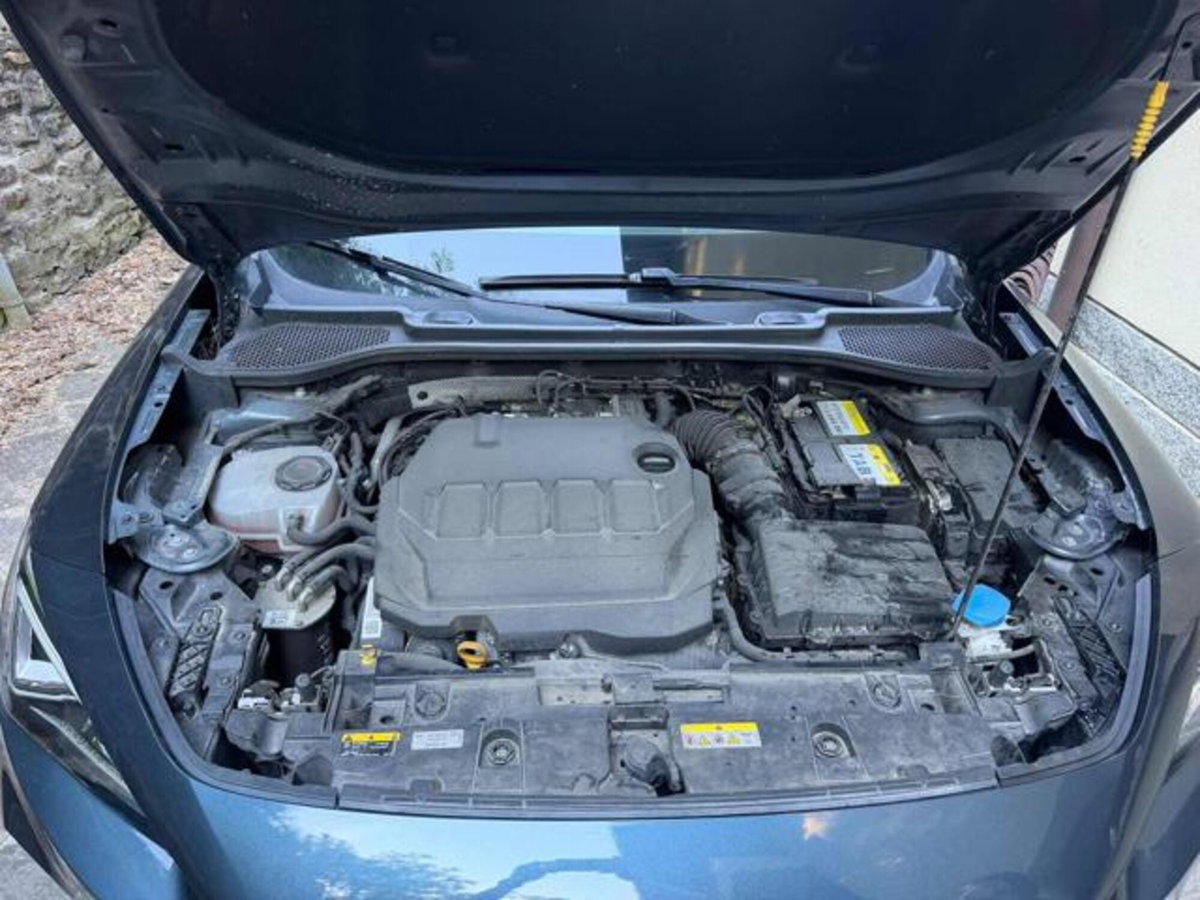 Cupra Formentor Formentor 2.0 tdi 4drive 150cv dsg (2)