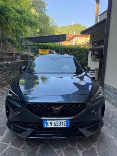 Cupra Formentor Formentor 2.0 tdi 4drive 150cv dsg (3)
