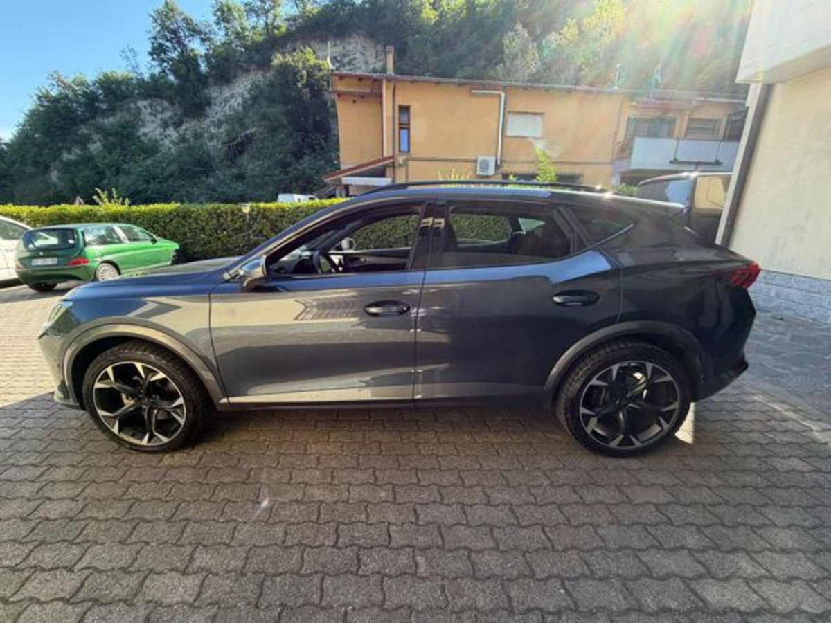 Cupra Formentor Formentor 2.0 tdi 4drive 150cv dsg (6)