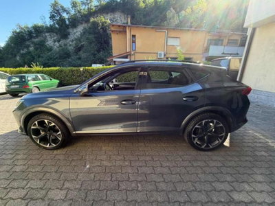 Cupra Formentor Formentor 2.0 tdi 4drive 150cv dsg (6)