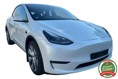 Tesla Model Y Long Range awd usata