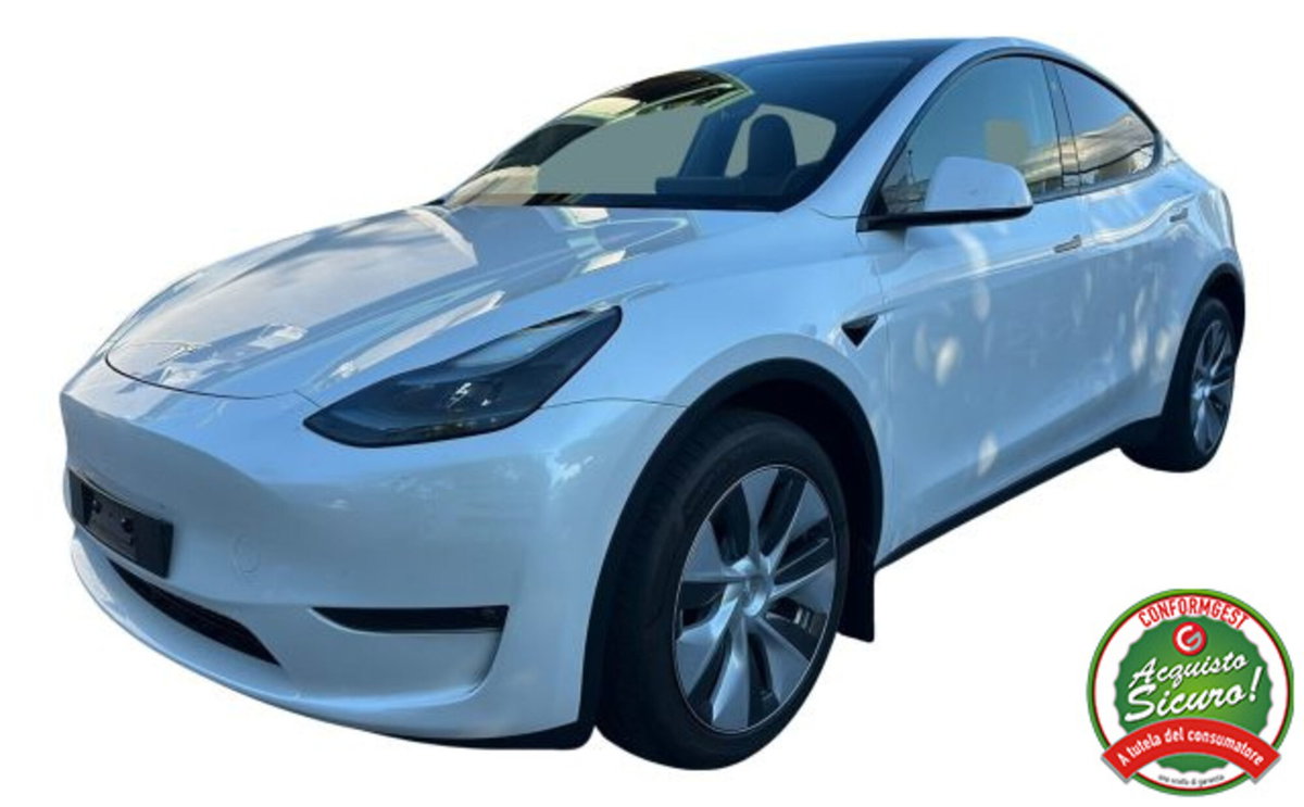 Tesla Model Y Long Range awd (2)