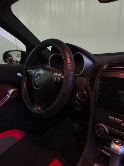 Mercedes-Benz SLK 200 Kompressor cat (18)