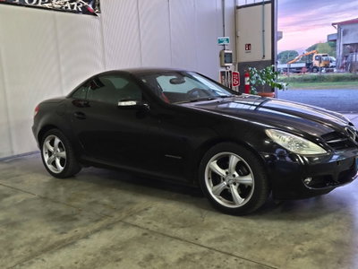 Mercedes-Benz SLK 200 Kompressor cat (3)