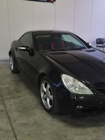 Mercedes-Benz SLK 200 Kompressor cat (6)