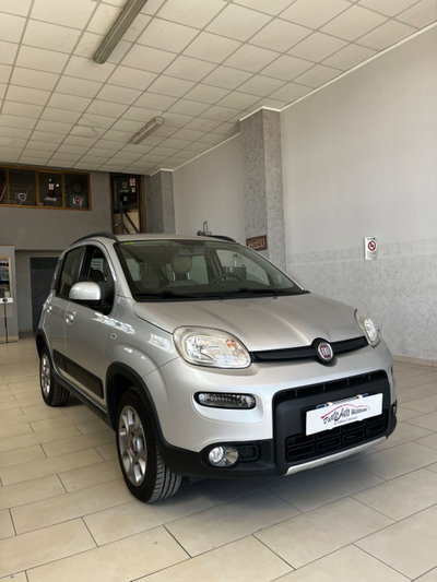 Fiat Panda 1.3 MJT S&S 4x4 Antartica (3)
