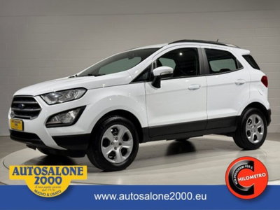 Ford EcoSport 1.0 EcoBoost 100 CV Business usata