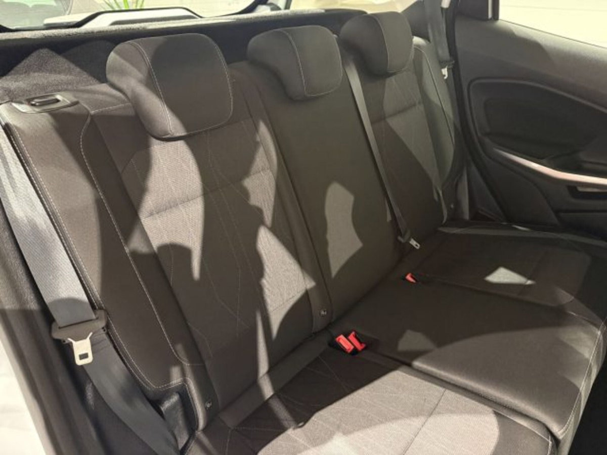 Ford EcoSport 1.0 EcoBoost 100 CV Business (13)