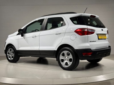 Ford EcoSport 1.0 EcoBoost 100 CV Business (3)