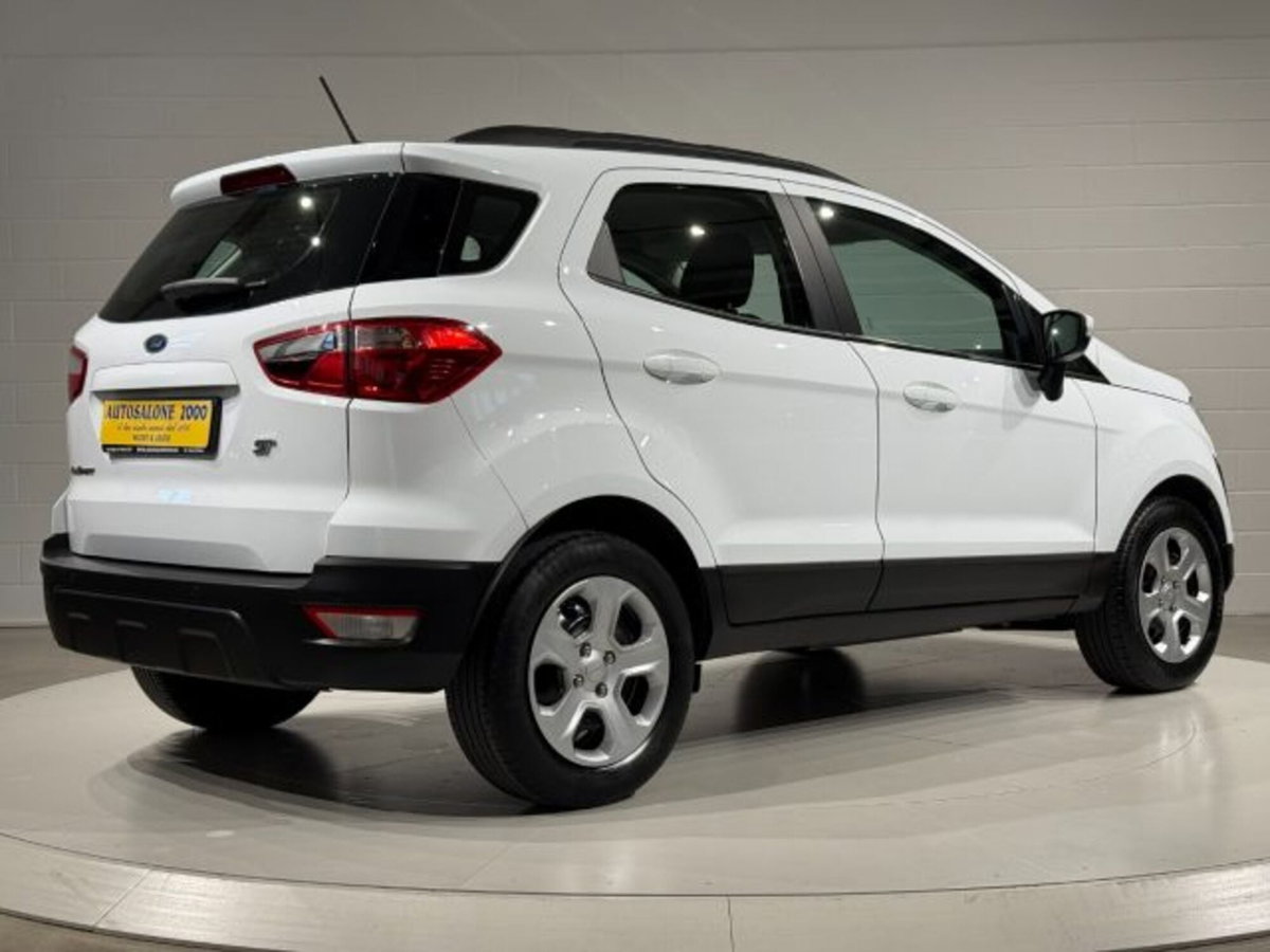 Ford EcoSport 1.0 EcoBoost 100 CV Business (5)