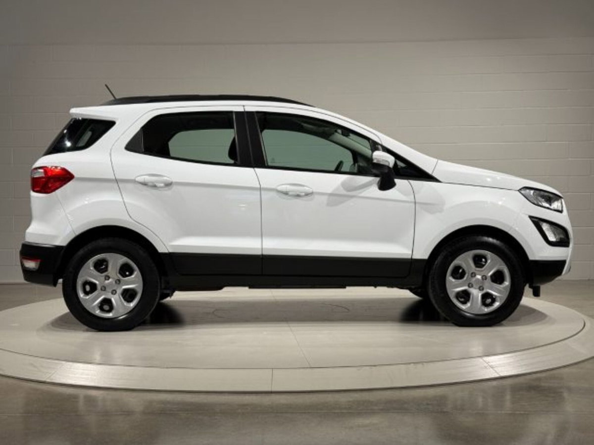 Ford EcoSport 1.0 EcoBoost 100 CV Business (6)