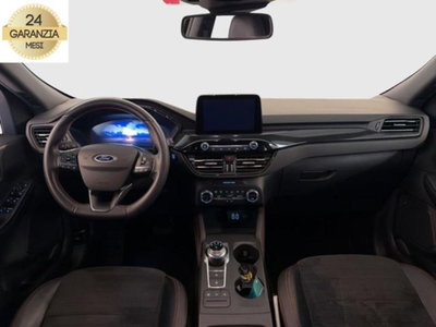 Ford Kuga 2.5 Plug In Hybrid 225 CV CVT 2WD ST-Line (12)