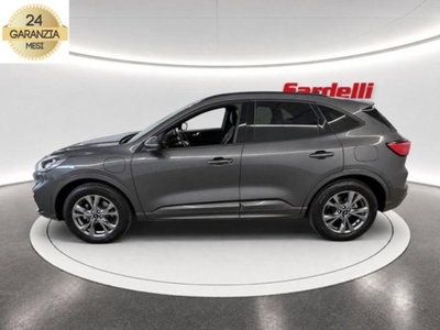 Ford Kuga 2.5 Plug In Hybrid 225 CV CVT 2WD ST-Line (6)