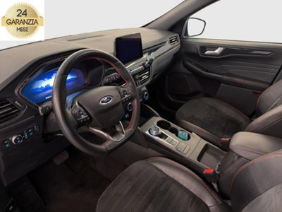 Ford Kuga 2.5 Plug In Hybrid 225 CV CVT 2WD ST-Line (7)