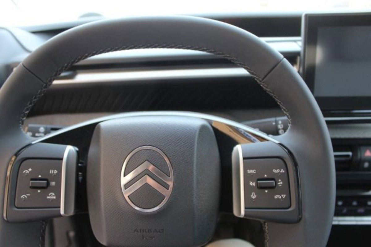 Citroen C3 1.2 turbo Max 100cv s&s (9)