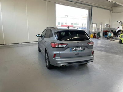 Ford Kuga 2.0 EcoBlue 120 CV aut. 2WD ST-Line X (5)
