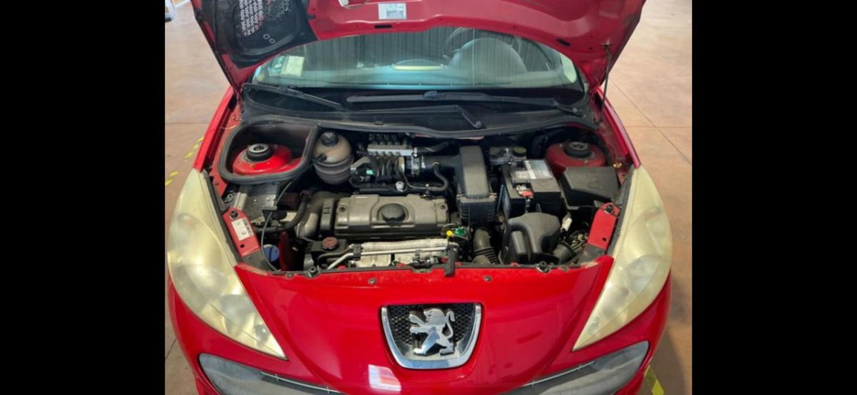 Peugeot 206 60CV 5p. Generation ECO GPL (4)