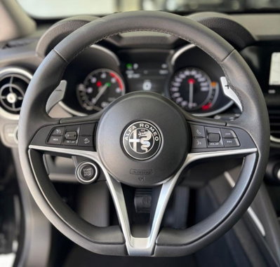 Alfa Romeo Stelvio Stelvio 2.2 Turbodiesel 210 CV AT8 Q4 B-Tech (14)