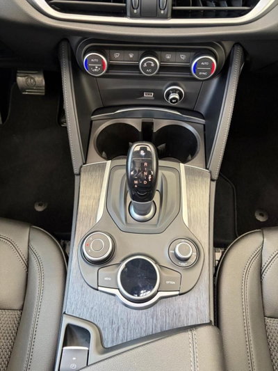 Alfa Romeo Stelvio Stelvio 2.2 Turbodiesel 210 CV AT8 Q4 B-Tech (17)