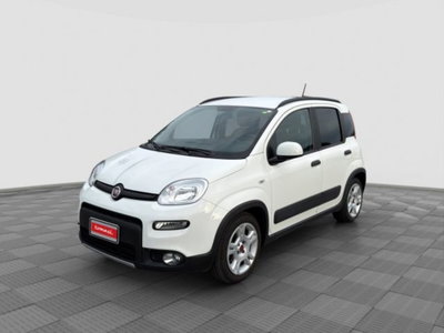 Fiat Panda 1.0 FireFly S&S Hybrid City Cross usata