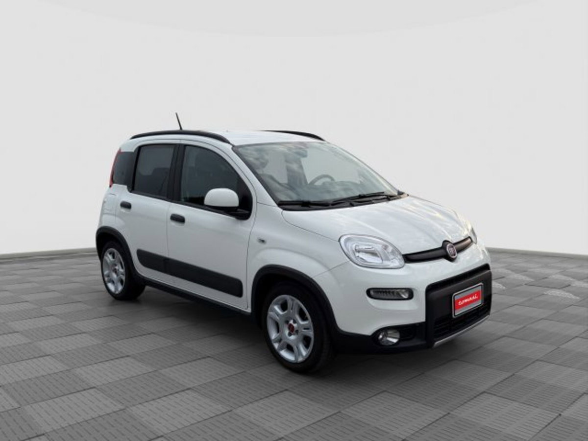 Fiat Panda 1.0 FireFly S&S Hybrid City Cross (7)