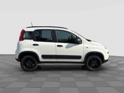 Fiat Panda 0.9 TwinAir Turbo S&S 4x4 Wild (6)