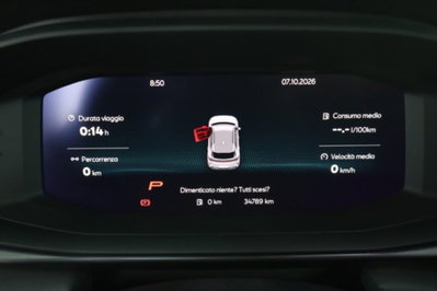 Cupra Terramar 1.5 hybrid 150cv dsg (7)