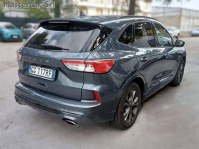 Ford Kuga 1.5 EcoBlue 120 CV 2WD ST-Line (5)