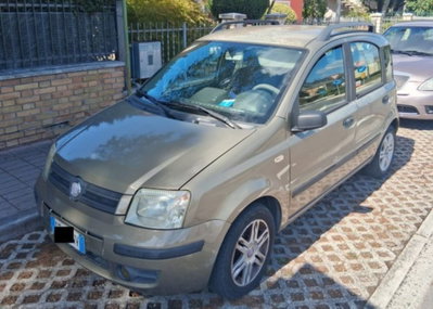Fiat Panda 1.2 Dynamic usata