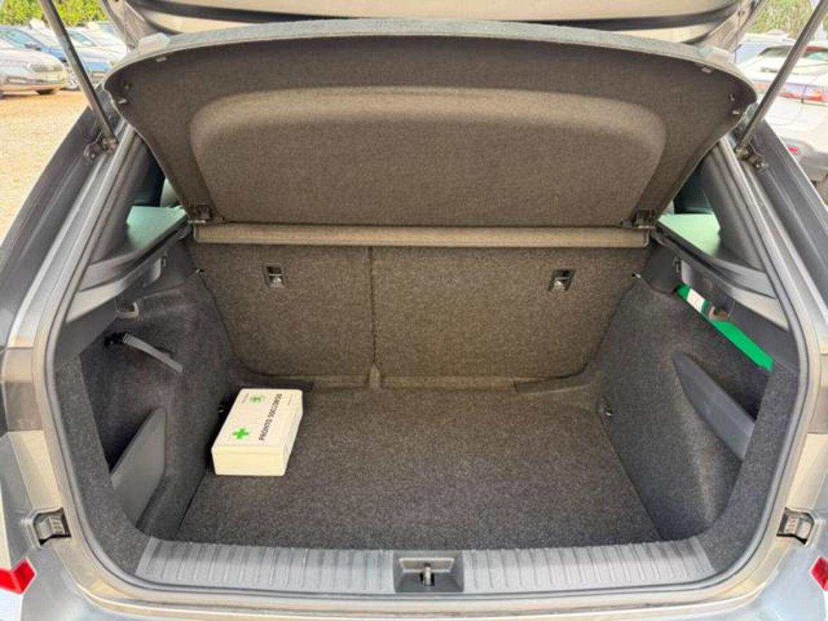Skoda Kamiq 1.0 TSI 110 CV Monte Carlo (13)