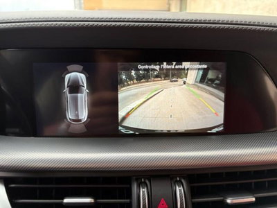 Alfa Romeo Stelvio Stelvio 2.2 Turbodiesel 210 CV AT8 Q4 Veloce (16)