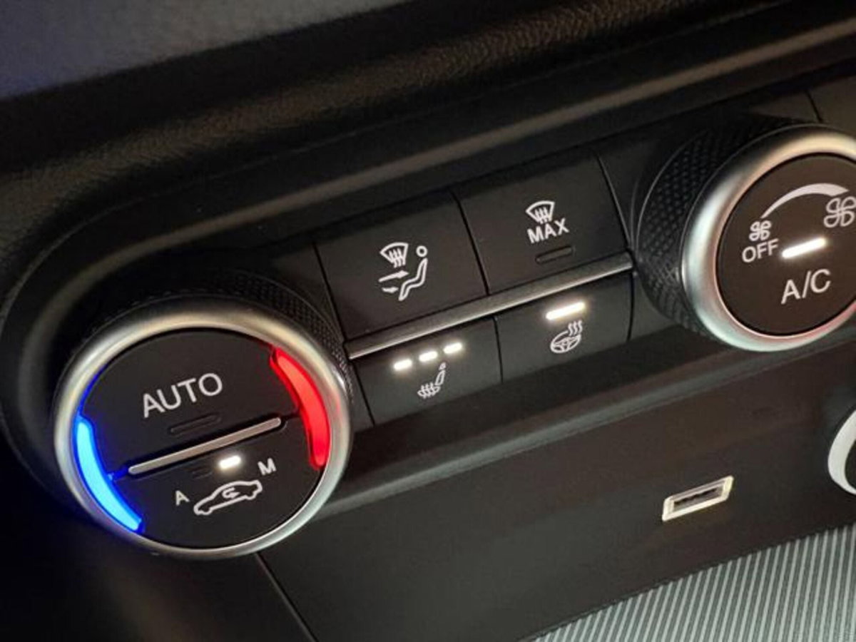 Alfa Romeo Stelvio Stelvio 2.2 Turbodiesel 210 CV AT8 Q4 Veloce (17)