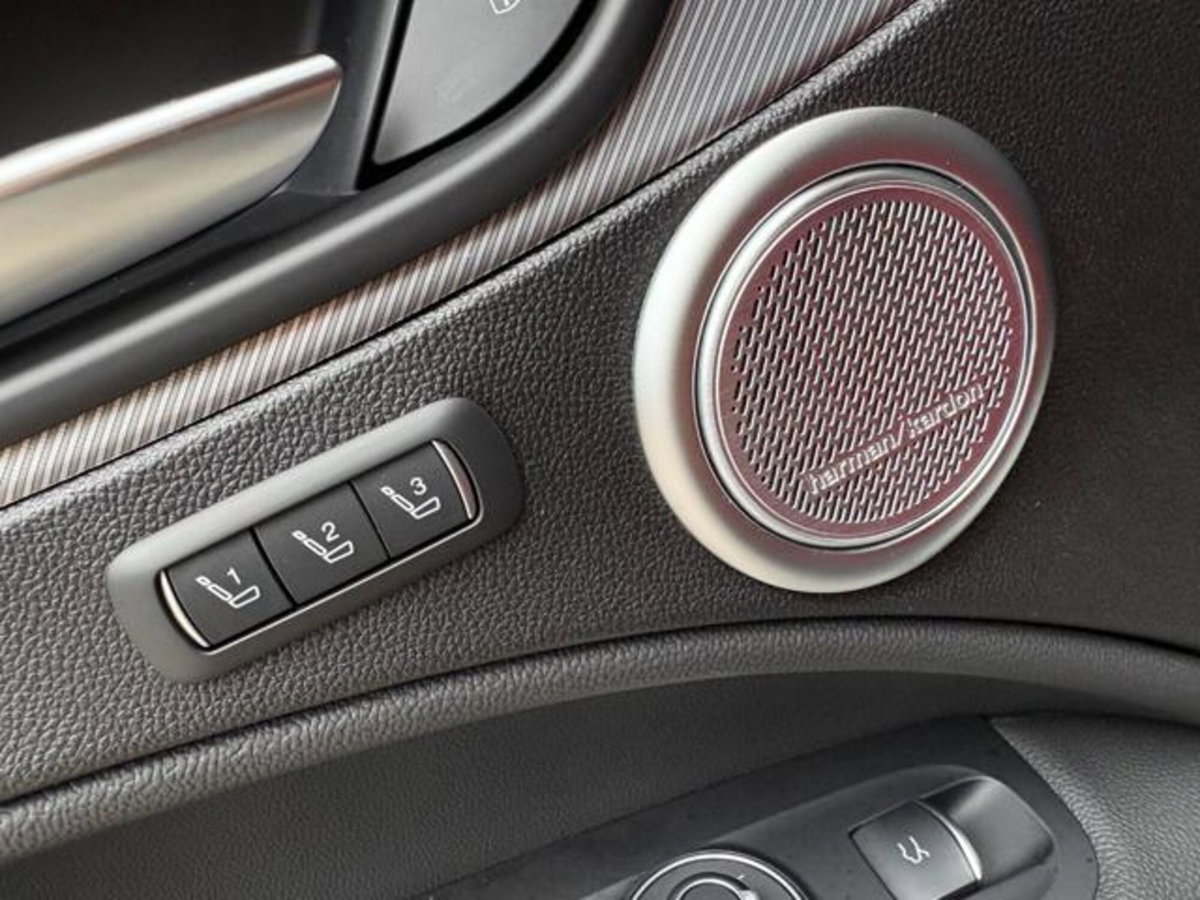 Alfa Romeo Stelvio Stelvio 2.2 Turbodiesel 210 CV AT8 Q4 Veloce (19)