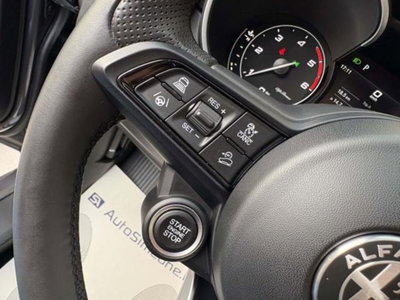 Alfa Romeo Stelvio Stelvio 2.2 Turbodiesel 210 CV AT8 Q4 Ti (16)